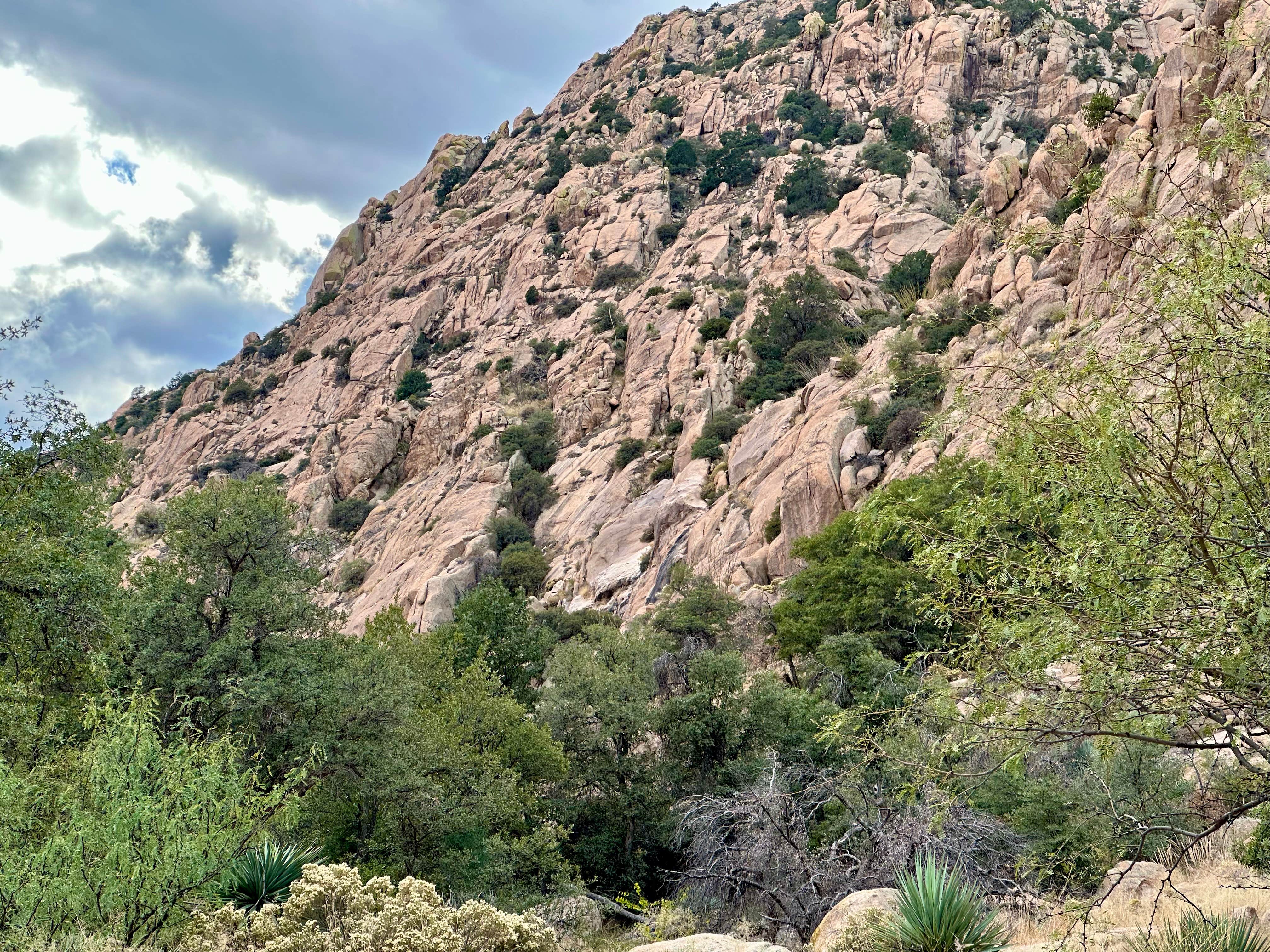 Camper-submitted photo at West Hunt Road near Dragoon, AZ