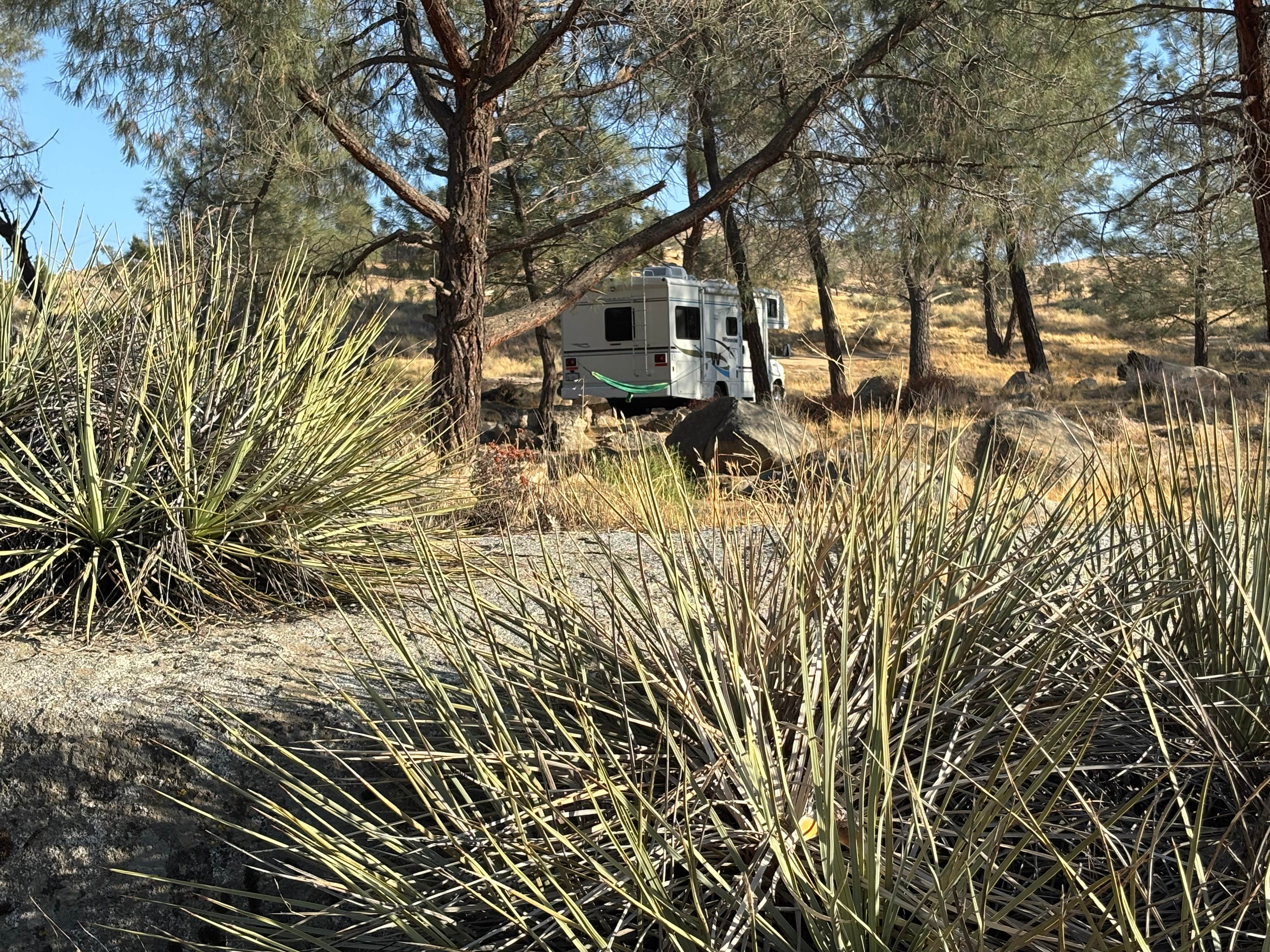 Camper-submitted photo at West Keyville Dispersed near Bodfish, CA