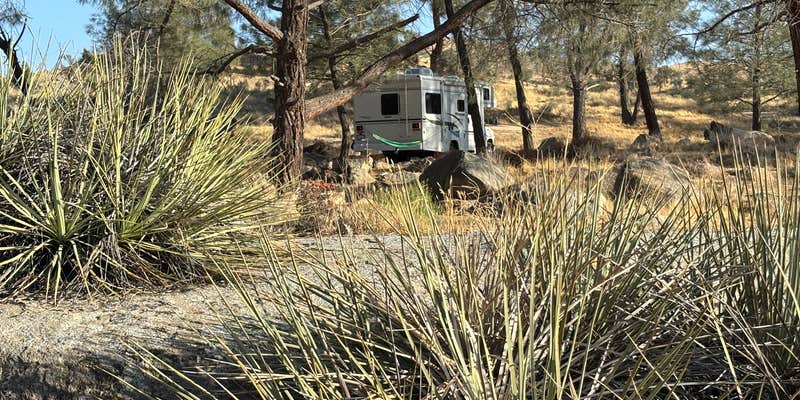 Camper submitted image from West Keyville Dispersed
