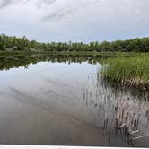 Review photo of West Maxwell WMA by Lee D., July 7, 2025