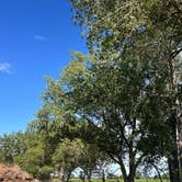 Review photo of West Maxwell WMA by Meara S., June 18, 2026