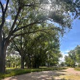 Review photo of West Maxwell WMA by Meara S., June 18, 2026