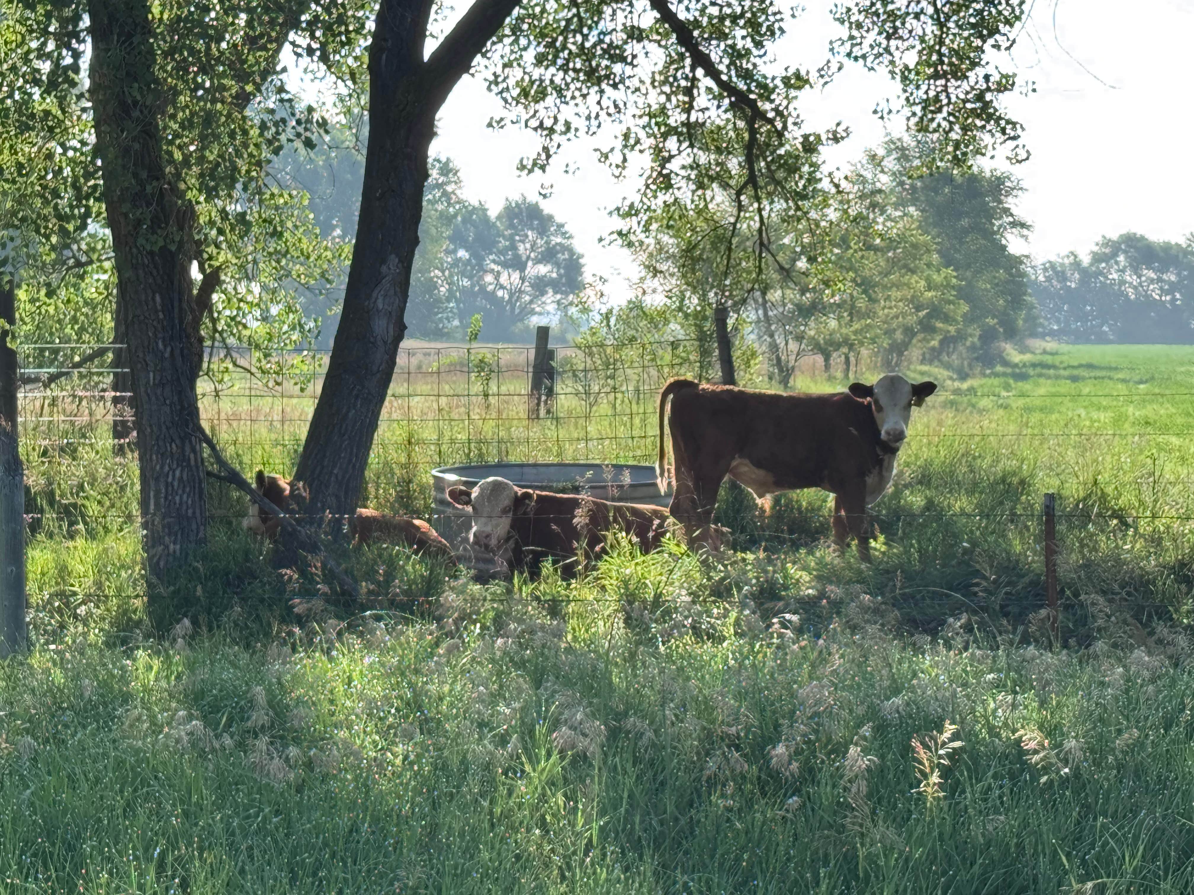 Camper-submitted photo at West Maxwell WMA near Gothenburg, NE