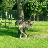 Review photo of West Palm Beach-Lion Country Safari KOA by Amanda W., September 7, 2025