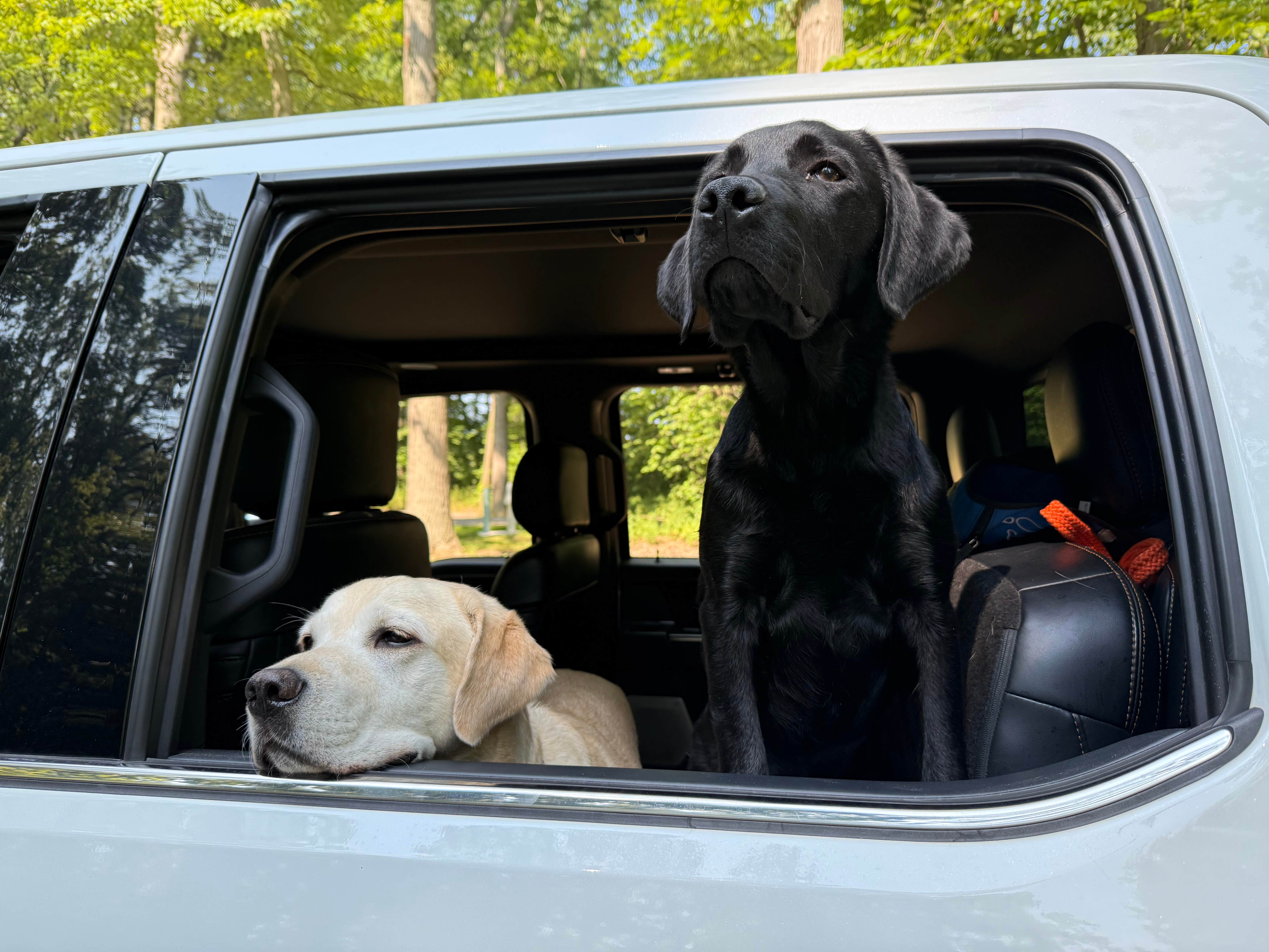 James T.'s photo of camping with pets at West Park (OR) near Pendleton, OR