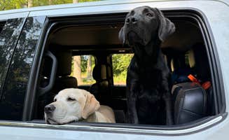 James T.'s photo of camping with pets at West Park (OR) near Richland, WA