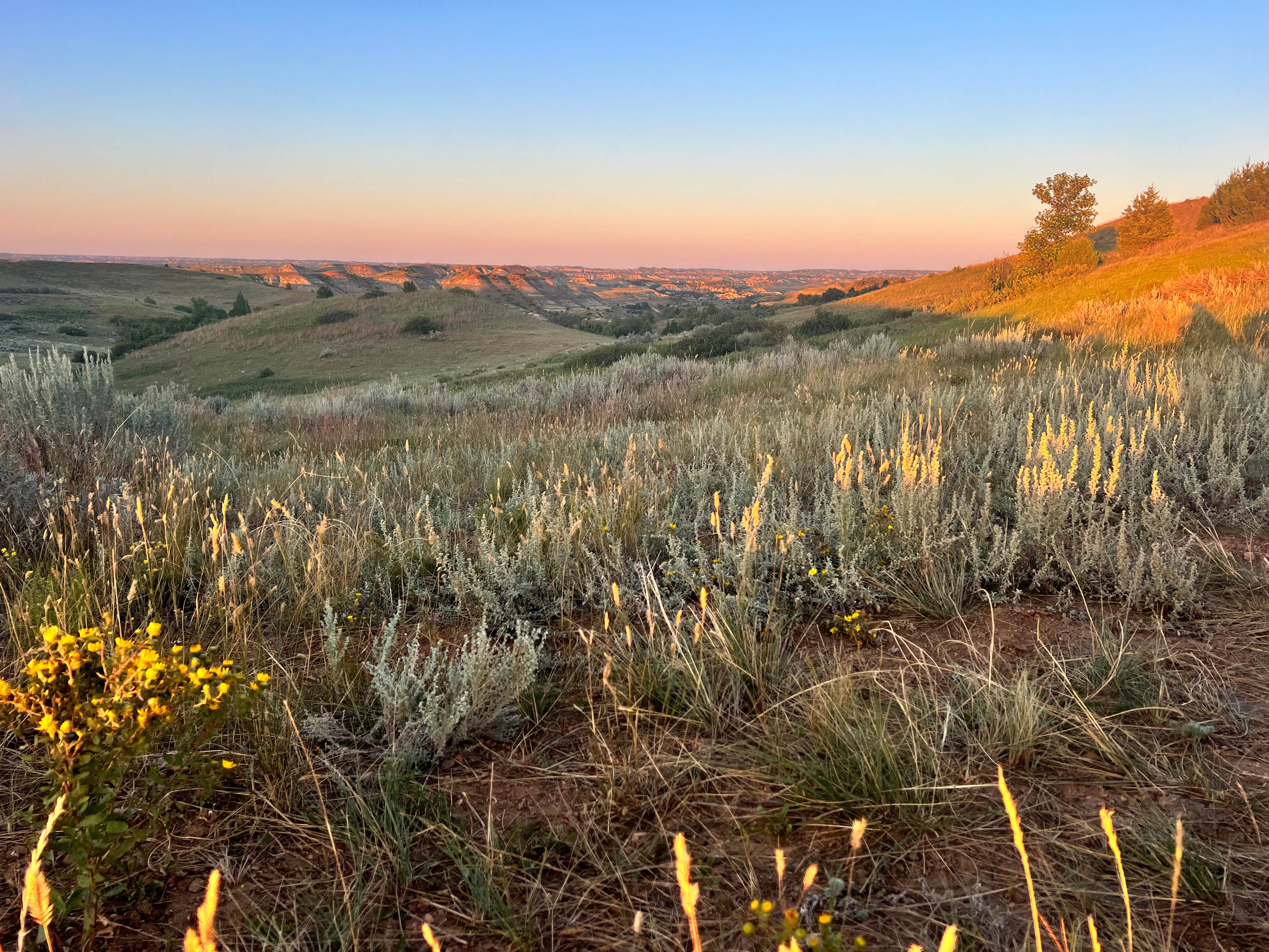 Camper-submitted photo at West River Rd Medora ND Dispersed in North Dakota