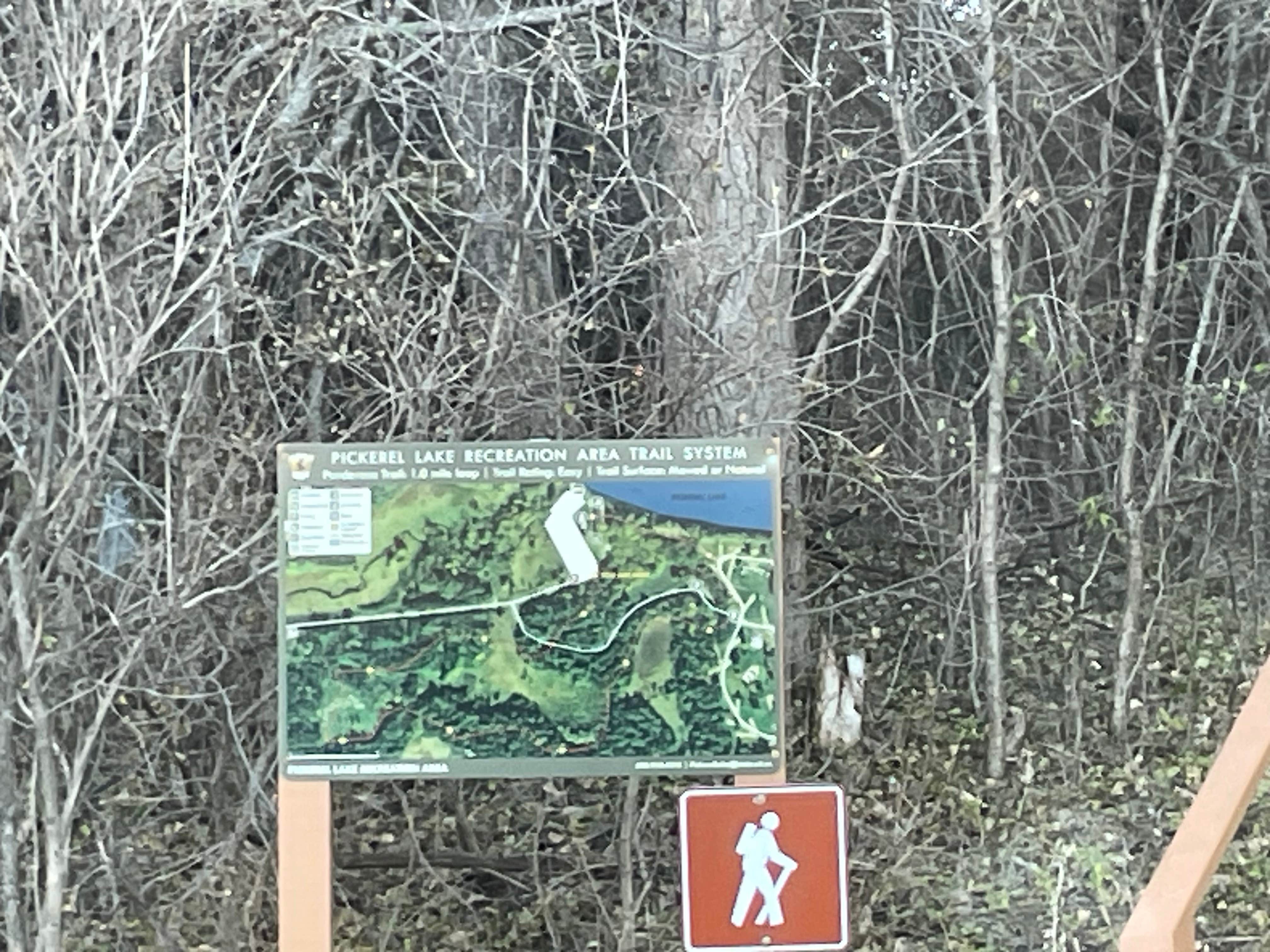 Camping near Roy Lake West — Roy Lake State Park: West Unit — Pickerel Lake Recreation Area, Sisseton, South Dakota