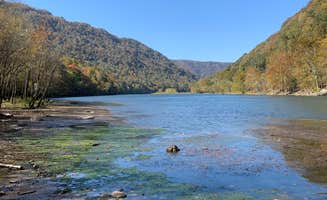 Corda B.'s photo of a dispersed camping area at Army Camp — New River Gorge National Park and Preserve near New River Gorge National River