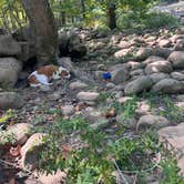 Review photo of Army Camp — New River Gorge National Park and Preserve by Kel J., August 31, 2024