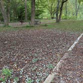 Review photo of Army Camp — New River Gorge National Park and Preserve by Bruce W., August 22, 2026