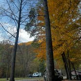 Review photo of Army Camp — New River Gorge National Park and Preserve by Rhys R., October 24, 2024