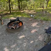 Review photo of Big Bend Campground by Moody B., February 3, 2025