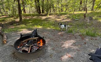 Moody B.'s photo of camping with pets at Big Bend Campground near Mathias, WV