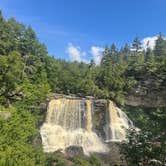 Review photo of Blackwater Falls State Park Campground by Sienna L., July 22, 2025