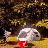 Review photo of Blackwater Falls State Park Campground by Sienna L., July 22, 2025