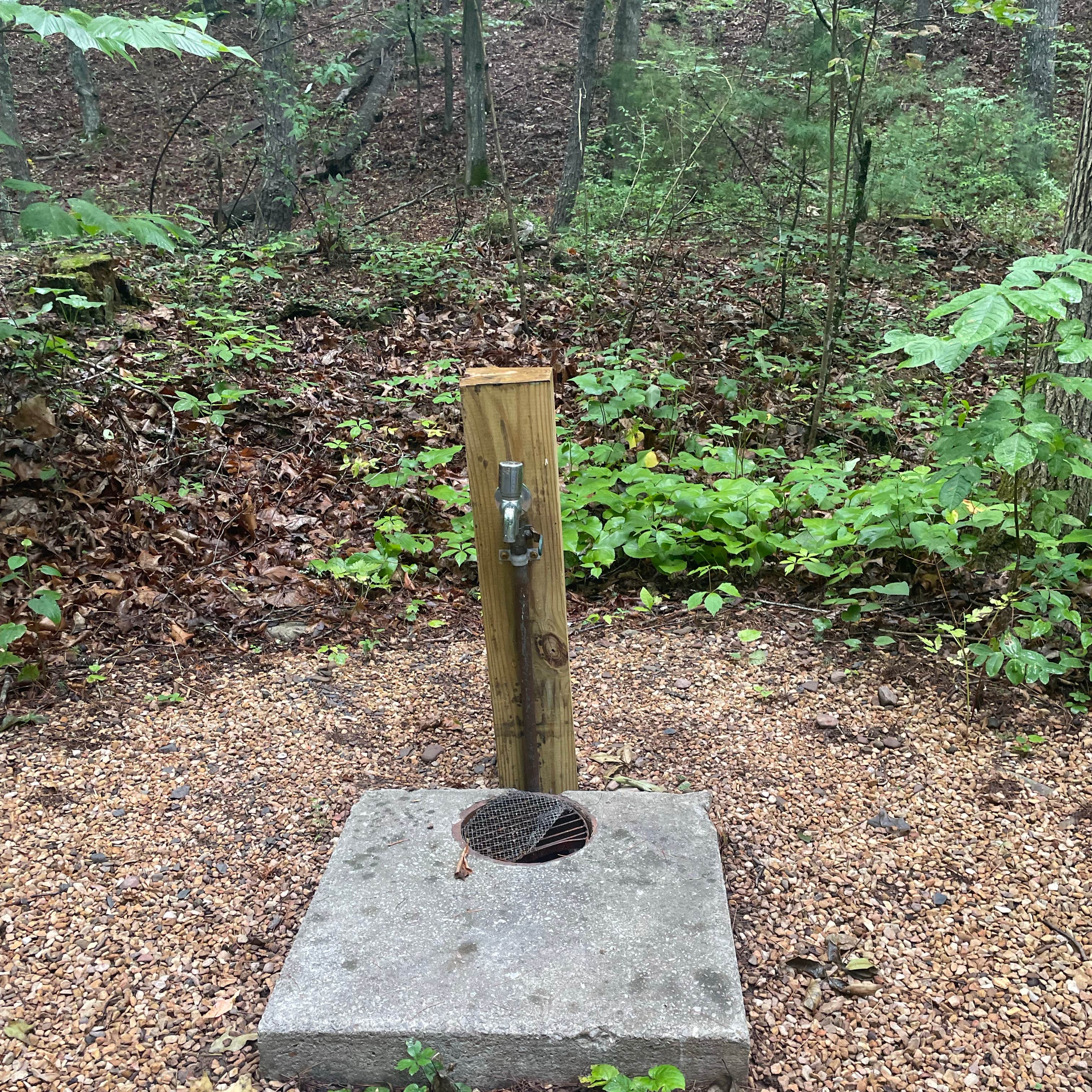 Brandywine Lake Campground — Shenandoah Wildlife Management Area ...