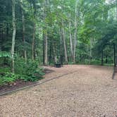 Review photo of Brandywine Lake Campground — Shenandoah Wildlife Management Area by Sarah C., July 24, 2024