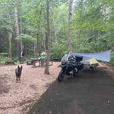 Review photo of Brandywine Lake Campground — Shenandoah Wildlife Management Area by Sarah C., July 24, 2024