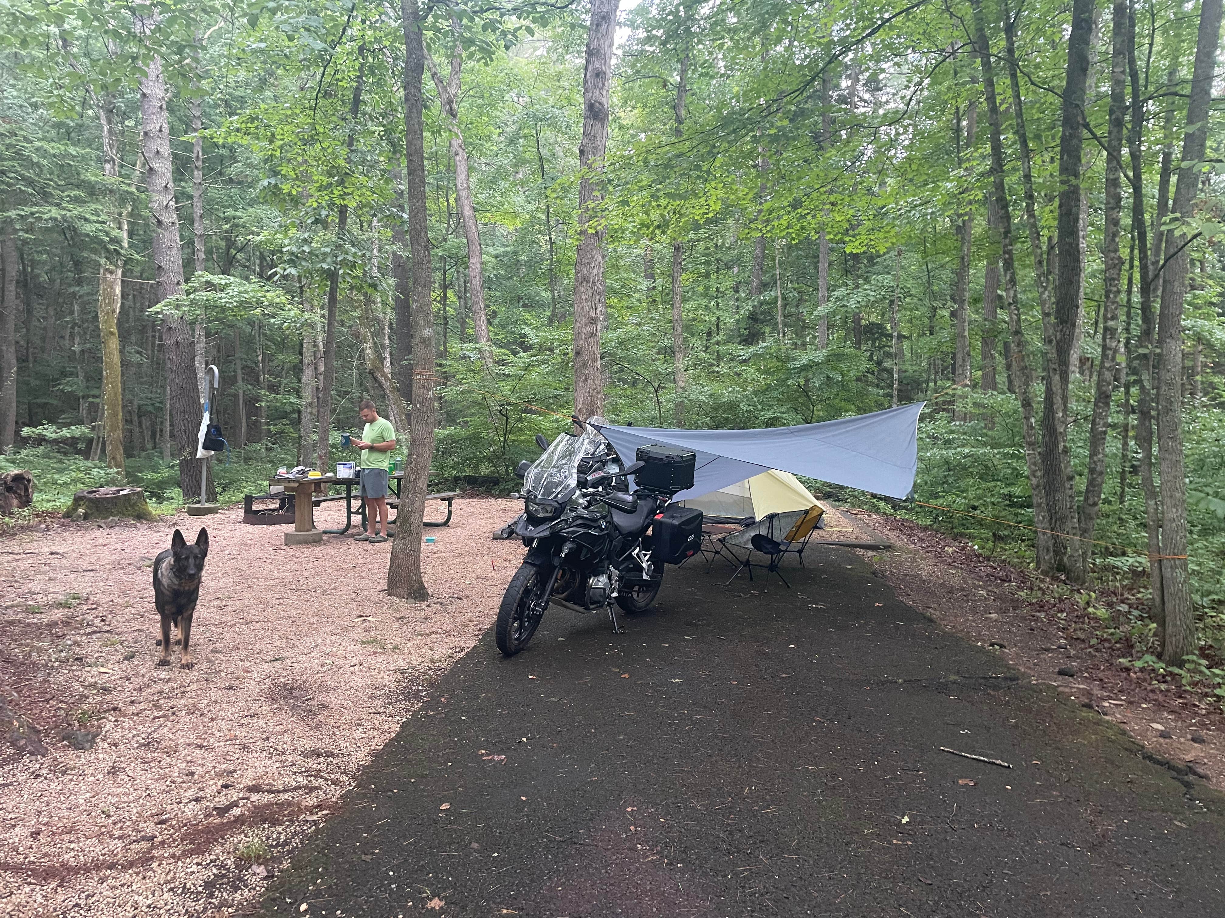 Camper submitted image from Brandywine Lake Campground — Shenandoah Wildlife Management Area - 3