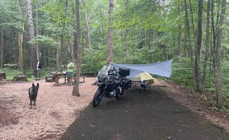 Sarah C.'s photo at Brandywine Lake Campground — Shenandoah Wildlife Management Area near Brandywine, WV