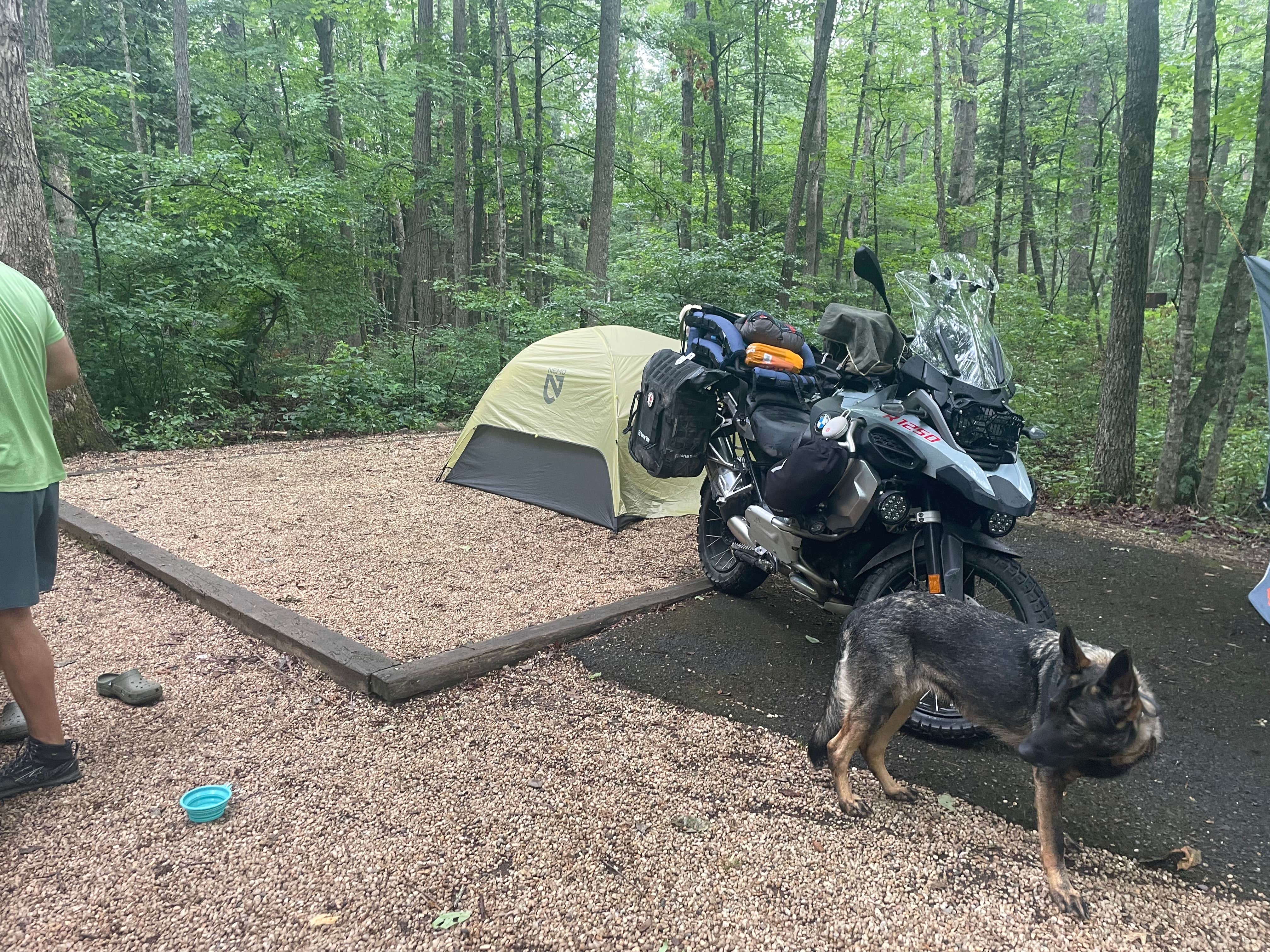 Camper-submitted photo at Brandywine Lake Campground — Shenandoah Wildlife Management Area near Singers Glen, VA