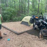 Review photo of Brandywine Lake Campground — Shenandoah Wildlife Management Area by Sarah C., July 24, 2024