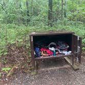 Review photo of Brandywine Lake Campground — Shenandoah Wildlife Management Area by Sarah C., July 24, 2024