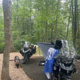 Review photo of Brandywine Lake Campground — Shenandoah Wildlife Management Area by Sarah C., July 24, 2024