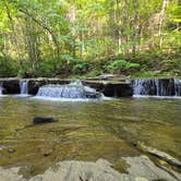 Review photo of Blue Jay Campground — Camp Creek State Park by leif D., June 3, 2025