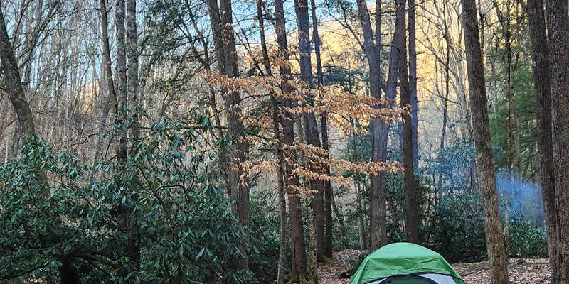 Camper submitted image from Blue Jay Campground — Camp Creek State Park