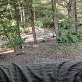 Review photo of Mash Fork Campground — Camp Creek State Park by Alice S., August 16, 2026