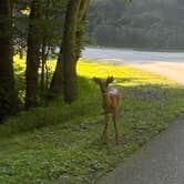 Review photo of Chief Logan State Park Campground by evan , July 8, 2025