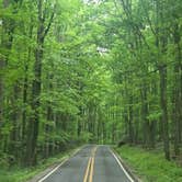 Review photo of Coopers Rock State Forest- McCollum Campground by Kindra W., June 13, 2026
