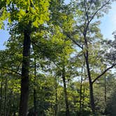 Review photo of Coopers Rock State Forest- McCollum Campground by Sandra P., August 28, 2026