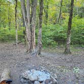 Review photo of Glade Creek Campground — New River Gorge National Park and Preserve by Dane J., October 22, 2024