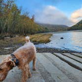 Review photo of Glade Creek Campground — New River Gorge National Park and Preserve by Dane J., October 22, 2024