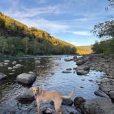 Review photo of Glade Creek Campground — New River Gorge National Park and Preserve by Aly E., October 3, 2025