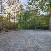 Review photo of Glade Creek Campground — New River Gorge National Park and Preserve by Dane J., October 22, 2024