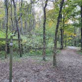 Review photo of Glade Creek Campground — New River Gorge National Park and Preserve by Dane J., October 22, 2024