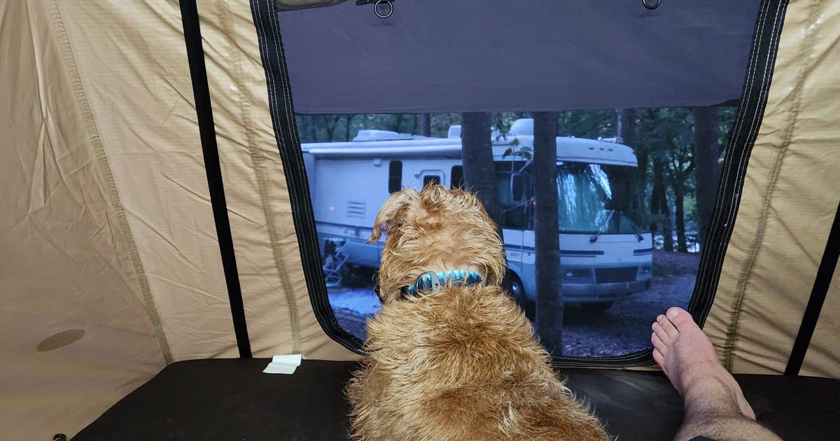 Comping Photo Best Dog-Friendly Camping near Prince, WV