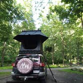 Review photo of Grandview Sandbar Campground — New River Gorge National Park and Preserve by Stephen R., September 7, 2026
