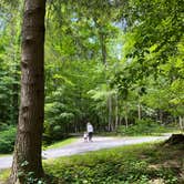 Review photo of Greenbrier State Forest by Jeremiah S., July 8, 2024