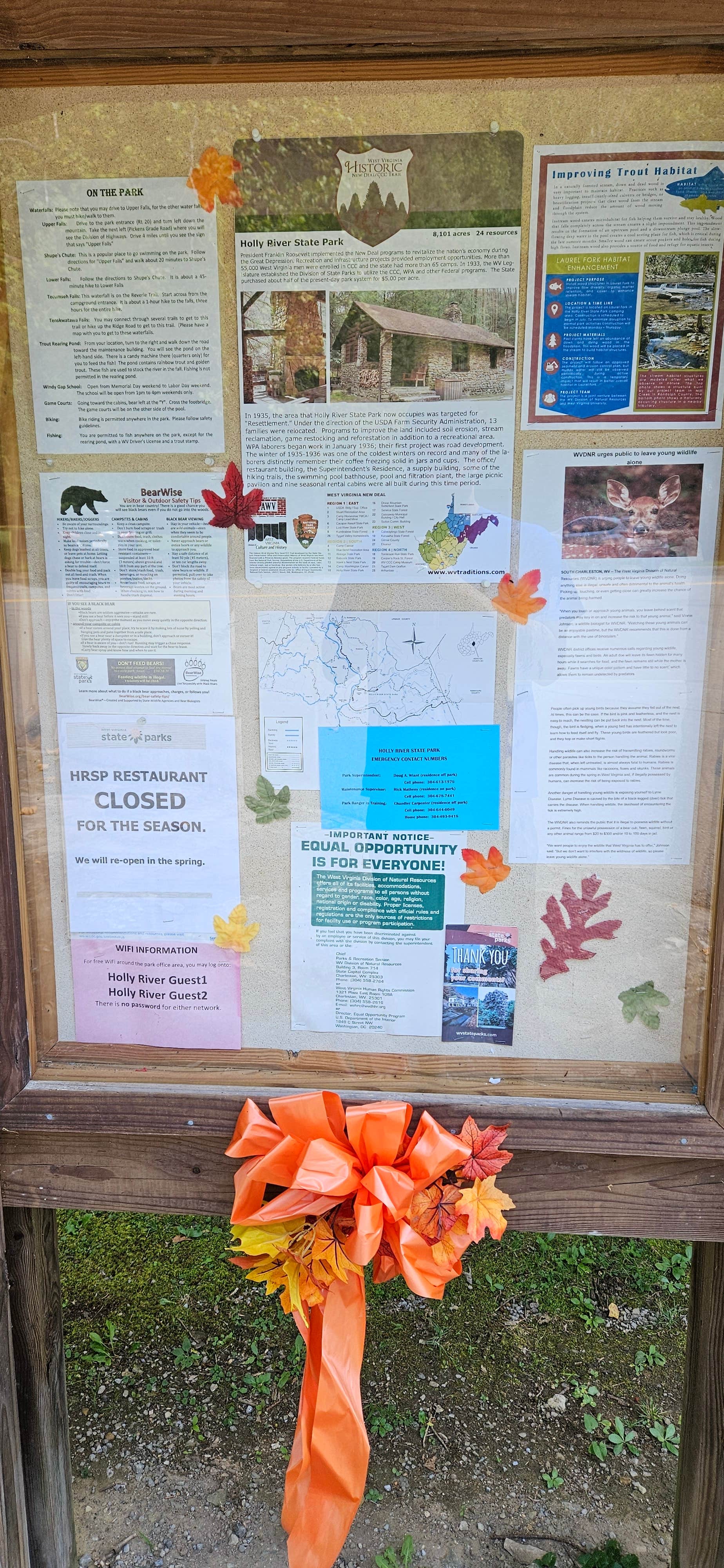 Craig B.'s photo of camping with pets at Holly River State Park Campground near Volga, WV