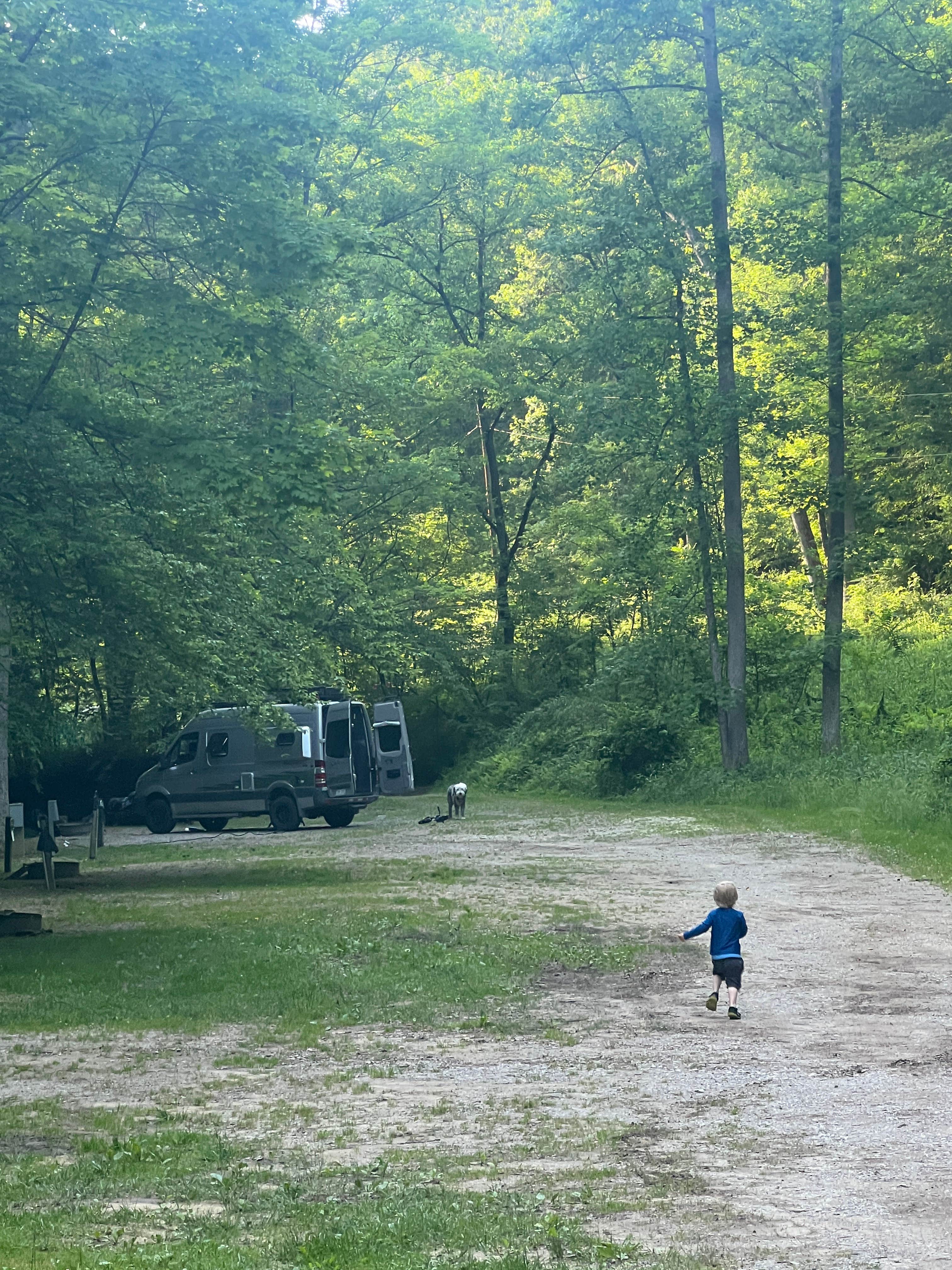 Marci S.'s photo of camping with pets at Kanawha State Forest near Gilbert, WV