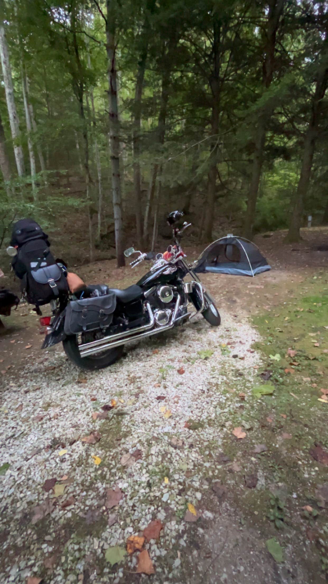 Zachary P.'s photo at Kanawha State Forest near Charleston, WV