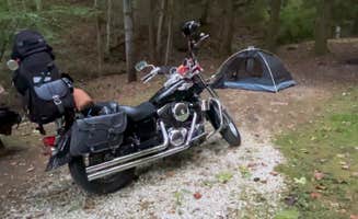 Zachary P.'s photo at Kanawha State Forest near Winfield, WV