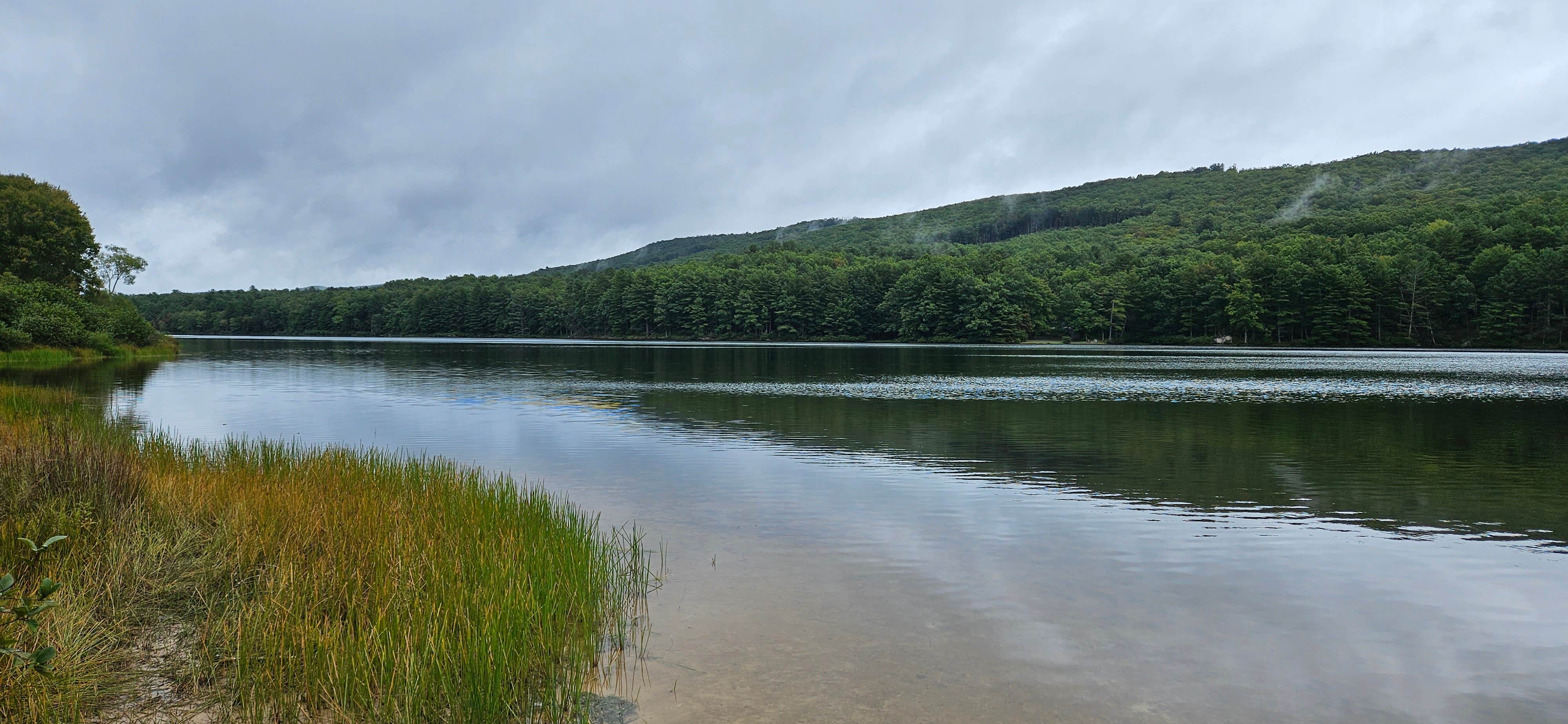 Camper submitted image from Moncove Lake State Park Campground - 1