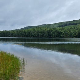 Moncove Lake State Park Campground
