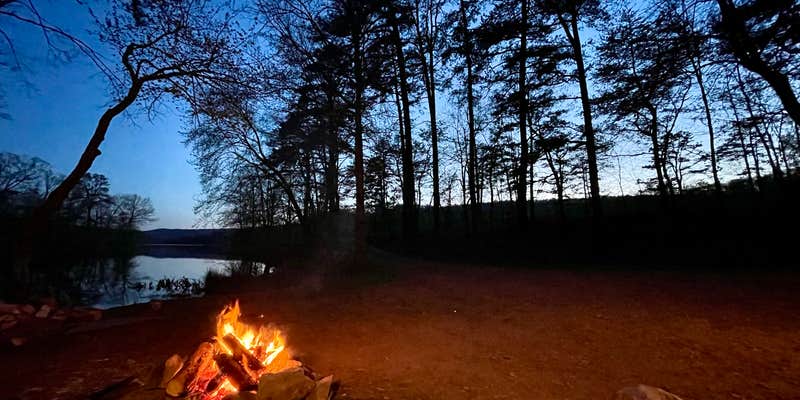 Camper submitted image from Sleepy Creek Wildlife Management Area